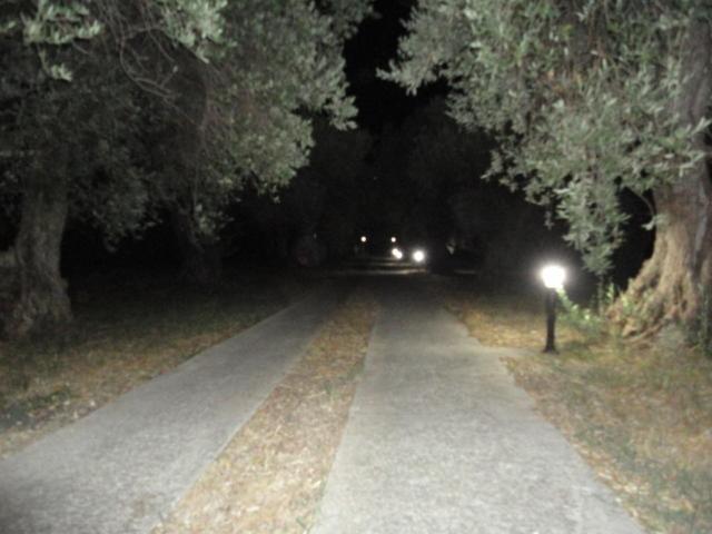 Liossis Rooms & Apartments Skopelos Exteriér fotografie