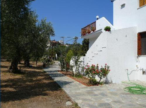 Liossis Rooms & Apartments Skopelos Exteriér fotografie